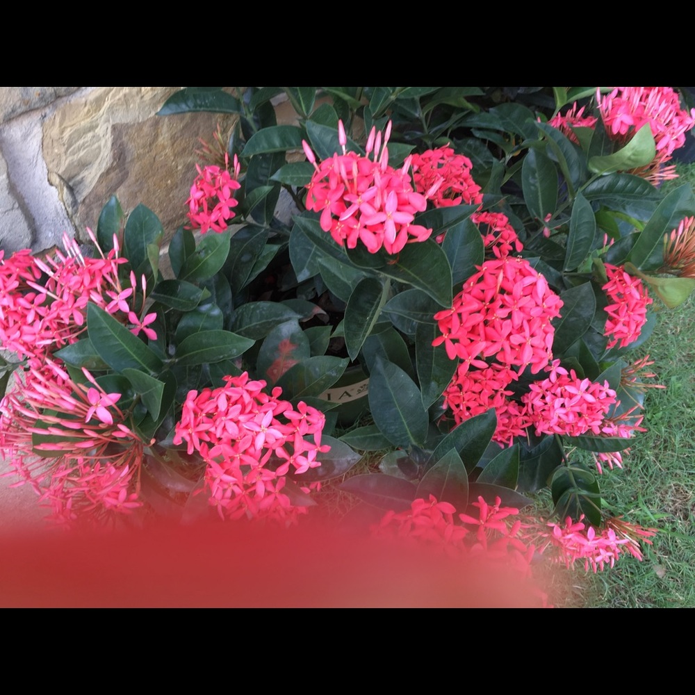 Meet your Posher, Carol